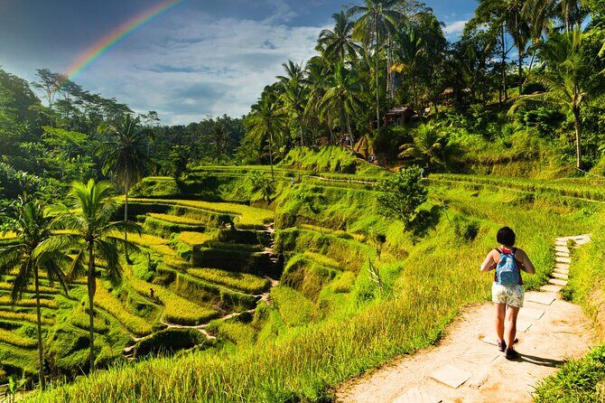 Bali Cultural Experience - Why This Tour Offers Good Value