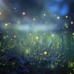 Bali: Cultural Ritual, Local Cuisine & Firefly Adventure - The Enchanting Firefly Experience