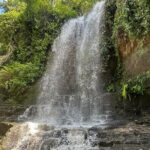 Bali Culture and Hidden waterfall Tour - An In-Depth Look at the Tour Experience