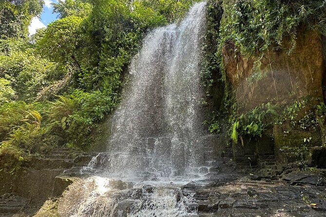 Bali Culture and Hidden waterfall Tour - Practical Details & Tips