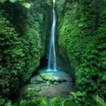 Bali: Customised North Bali Tour With Hotel Transfer - Practicalities and Value