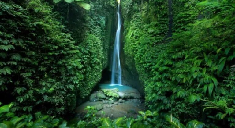 Bali: Customised North Bali Tour With Hotel Transfer - Practicalities and Value