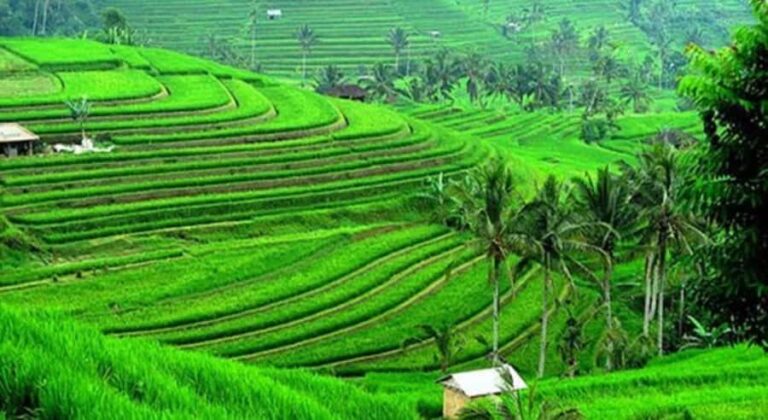 Bali: Customised North Bali Tour With Hotel Transfer - FAQ  