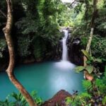 Bali: Customised North Bali Tour With Private Car and Driver - Who Should Consider This Tour?