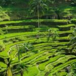 Bali: Customised Ubud Tour with Profesional Tour Guide - Frequently Asked Questions (FAQs)