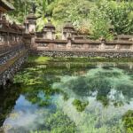 Bali: Customize Private Day Tour with Driver-Guide - Itinerary Overview and Highlights