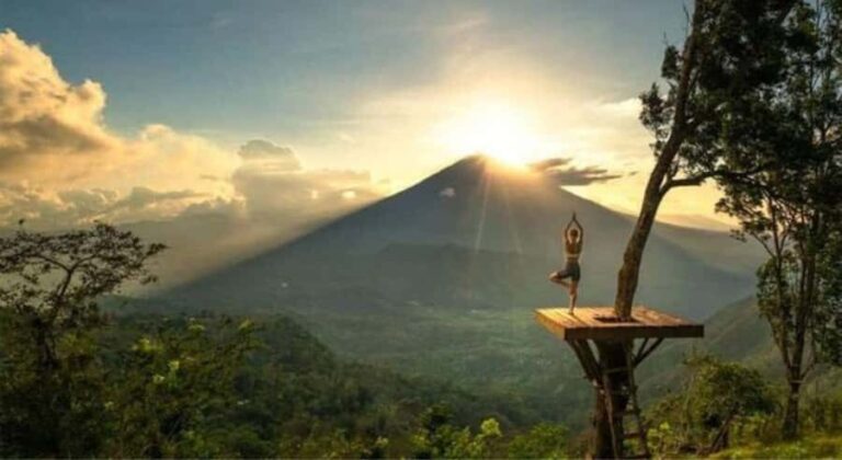 Bali: Customized East Bali Day Tour Including Transfer Hotel - Transport and Logistical Details
