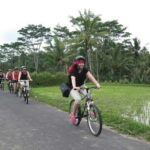 Bali Cycling Tour - Why Travelers Love This Tour