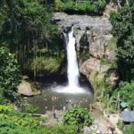 Bali Discovery: Waterfalls, Butterfly Park & Village Life - Practical Details & Tips
