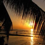 Bali: Dolphin Watching, Aling Aling Waterfall, All Inclusive - Who Is This Tour Best Suited For?