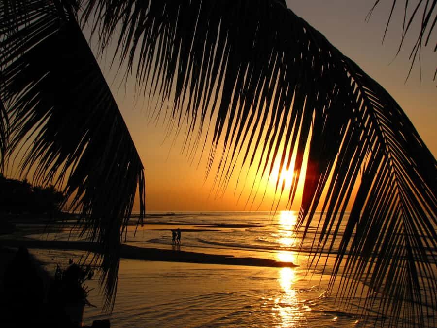 Bali: Dolphin Watching, Aling Aling Waterfall, All Inclusive - Who Is This Tour Best Suited For?