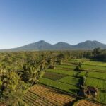 Bali Experience: Dance, Purification, & Culinary Journey - The Sum Up