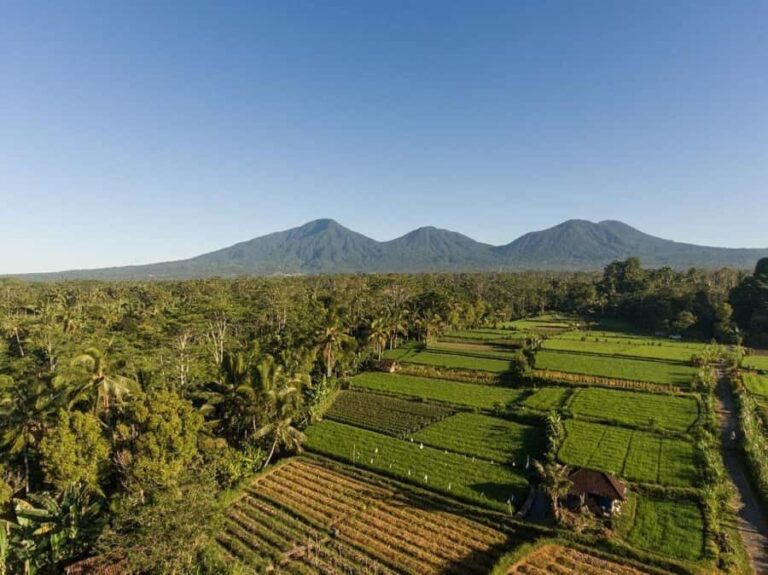 Bali Experience: Dance, Purification, & Culinary Journey - The Sum Up