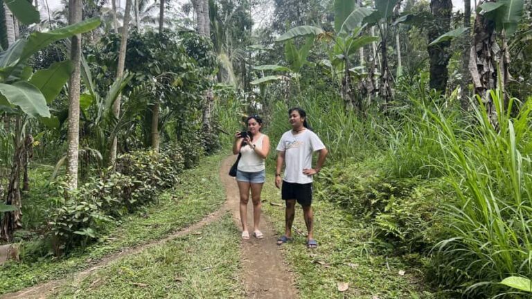 Bali: Explore the Hidden Trails of Taro Village - What You Can Expect from the Tour