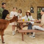 Bali: Farm House Experience with Entry Ticket & Options - Exploring Bali’s Farm House Experience