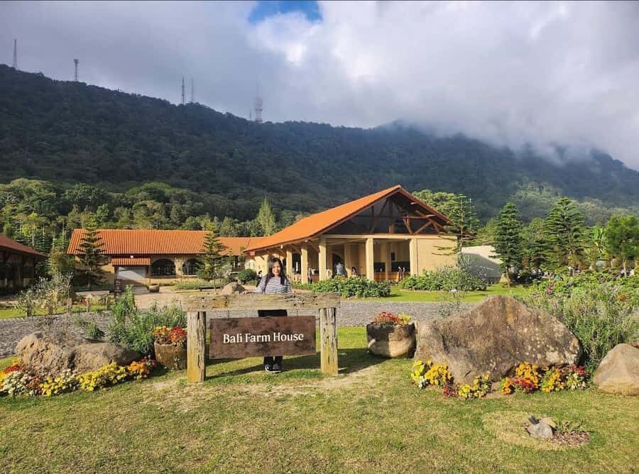 Bali: Farm House Pancasari & Strawberry Picking Tour - Farm House Pancasari: A Family-Friendly Getaway