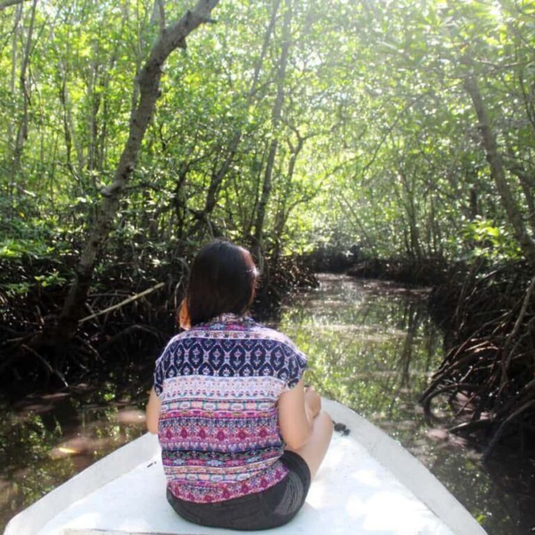 Bali : Full Day Nusa Lembongan - Snorkeling Tour - The Overview of the Bali: Full Day Nusa Lembongan - Snorkeling Tour