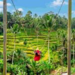 Bali : Full Day Tour With Female Driver - What to Expect During the Day