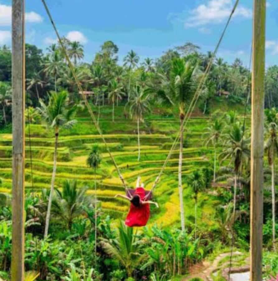 Bali : Full Day Tour With Female Driver - What to Expect During the Day