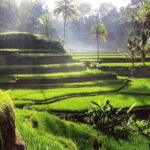 Bali Full-Day Tours : Waterfall and Ubud Destination Trip - The Sum Up