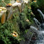Bali: Goa Rang Reng Waterfall, Temple, and Jungle Swing Tour - Discovering Bali’s Natural Wonders