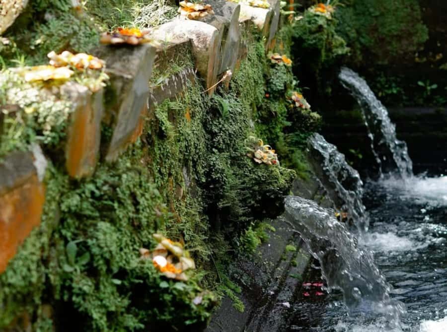 Bali: Goa Rang Reng Waterfall, Temple, and Jungle Swing Tour - Discovering Bali’s Natural Wonders