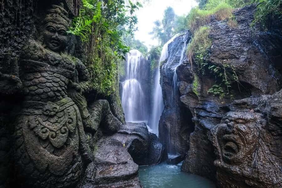 Bali: Griya Beji Water Ritual plus Monkey Forest and Swing - The Itinerary in Detail