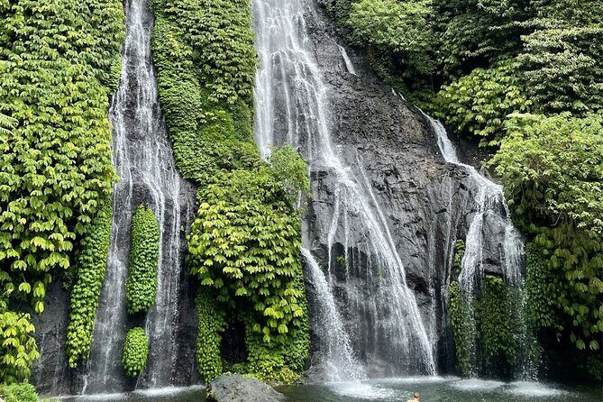 Bali Highlights Shore Excursion from Celukan Bawang Port - Authentic Experiences and Reviewer Insights