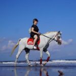 Bali Horse Riding on The Beach Experience - Why This Experience Offers Great Value