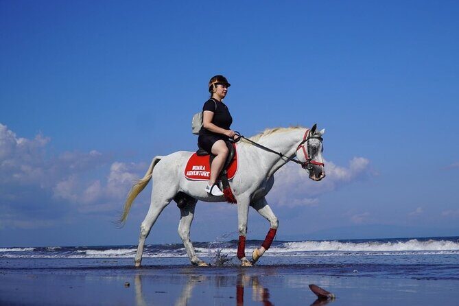 Bali Horse Riding on The Beach Experience - Why This Experience Offers Great Value