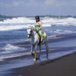 Bali: Horse Riding Sanur Beach Experience with Transport - What Works Well and What to Consider