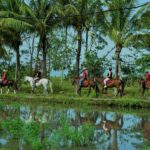 Bali: Horseback Riding Tour - Rice Fields & Pig Stone Beach - What to Expect: Realities of the Ride