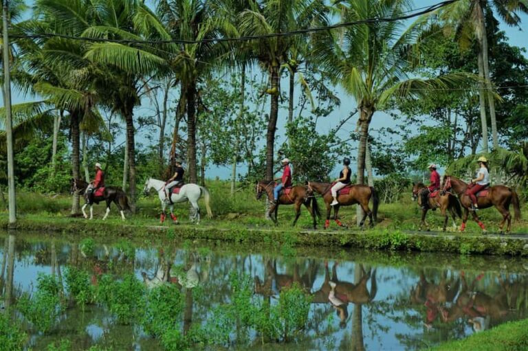 Bali: Horseback Riding Tour - Rice Fields & Pig Stone Beach - What to Expect: Realities of the Ride