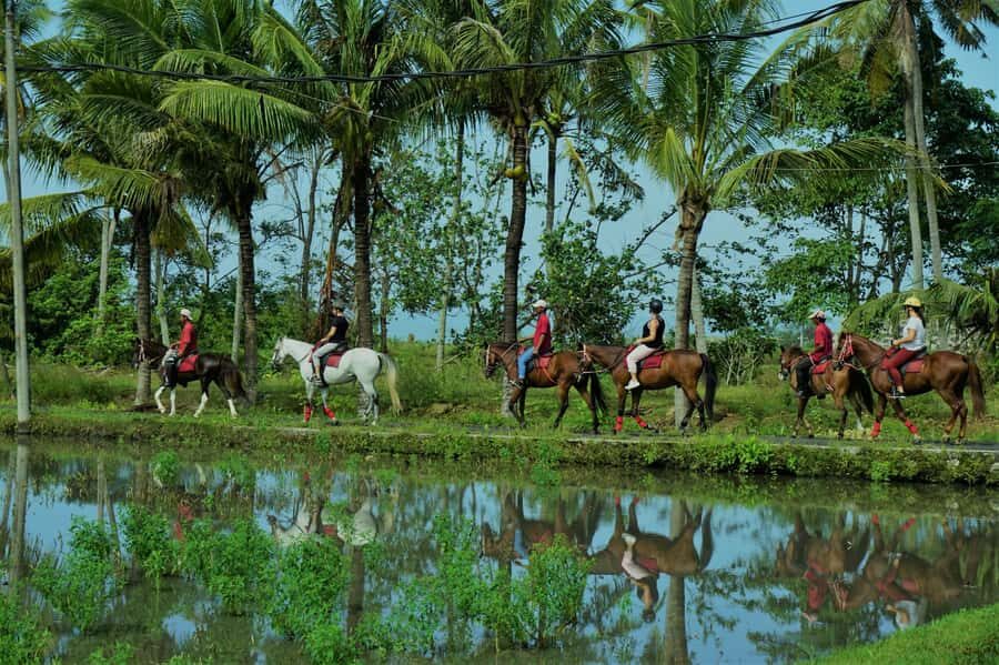 Bali: Horseback Riding Tour - Rice Fields & Pig Stone Beach - What to Expect: Realities of the Ride