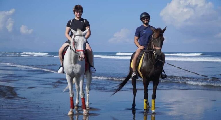 Bali: Horseback Riding Tour with Hotel Transfer - An In-Depth Look at the Bali Horseback Riding Experience