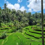 Bali: Jaga Satru Waterfall, Goa Lawah & Sidemen Tour - Exploring Bali’s Natural and Cultural Gems