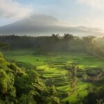 Bali: Jaga Satru Waterfall, Goa Lawah & Sidemen Tour - An In-Depth Look at the Tour Experience