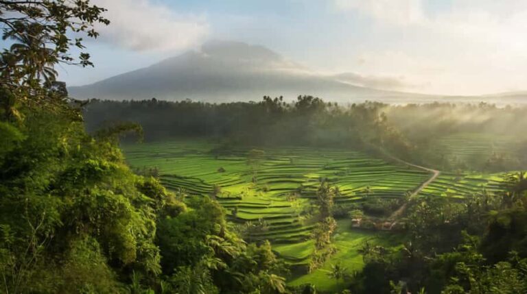 Bali: Jaga Satru Waterfall, Goa Lawah & Sidemen Tour - An In-Depth Look at the Tour Experience