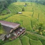Bali: Jatiluwih Rice Terraces Sunrise guided Walking Tour - Who is this tour best suited for?