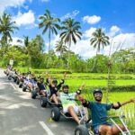 Bali: Jungle Cart Adventure and White Water Rafting Tour - Detailed Itinerary Breakdown