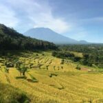 Bali: Kastala Rice Terrace, Tenganan Trekking & Virgin Beach - Transportation, Duration, and Practical Tips