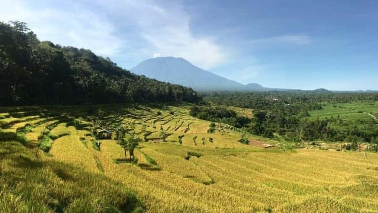 Bali: Kastala Rice Terrace, Tenganan Trekking & Virgin Beach - Transportation, Duration, and Practical Tips
