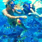 Bali: Labuhan Amuk Snorkeling & Blangsinga Waterfall Tour - Snorkeling at Labuhan Amuk