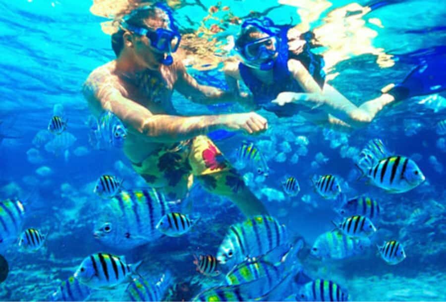 Bali: Labuhan Amuk Snorkeling & Blangsinga Waterfall Tour - Snorkeling at Labuhan Amuk