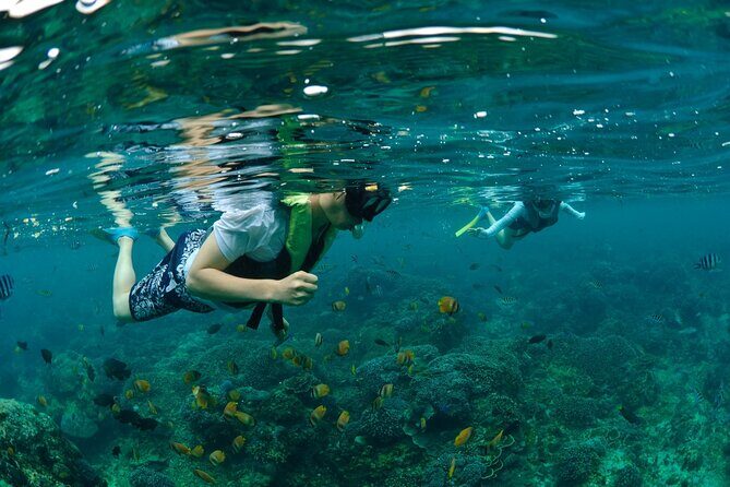 Bali Lembongan Island Beach Club Day Trip - Who Is This Tour Perfect For?