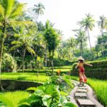 Bali: Lempuyang Temple, Water Palace, and Waterfall Tour. - Tour Logistics: What to Expect