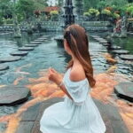 Bali Lempuyang Temple, Waterfall with Rice Terrace Tour - Tirta Gangga Water Palace: A Regal Water Retreat