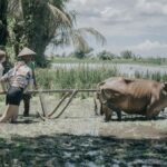 Bali: Local Village and School Tour with Lunch - The Itinerary in Detail