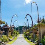 Bali: Local Village and School Tour with Lunch - A Deep Dive into the Experience