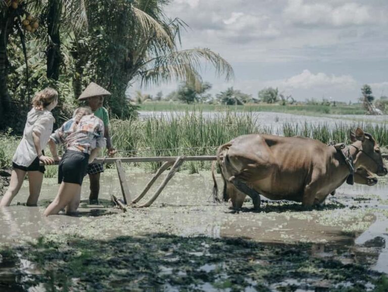 Bali: Local Village and School Tour with Lunch - The Itinerary in Detail